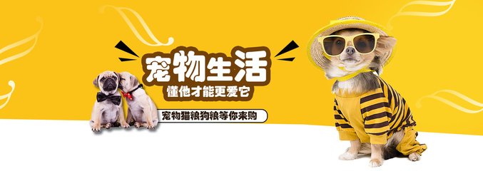 新澳门2025今晚开什么